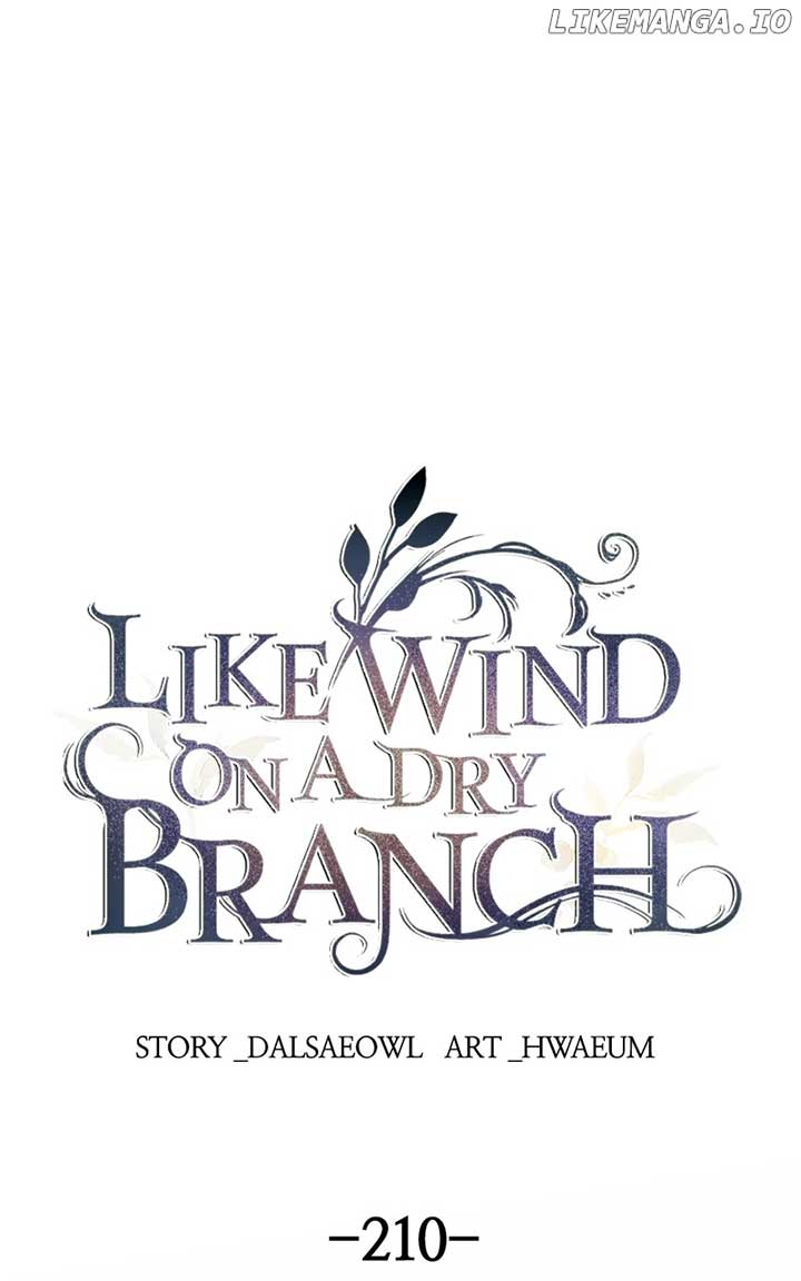 Like A Wind On A Dry Branch Chapter 210 - Page 1