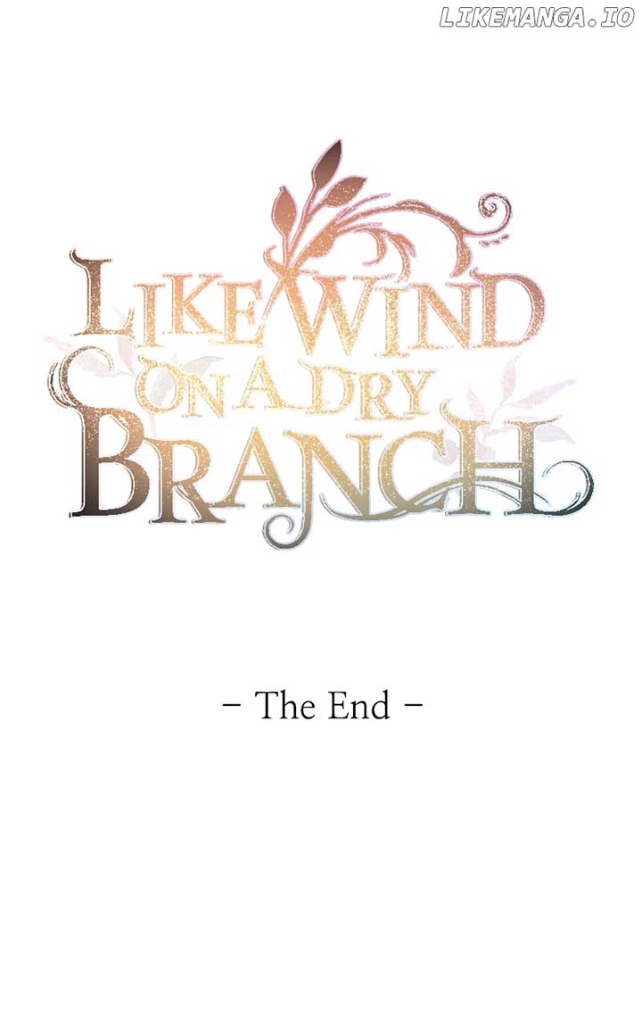 Like A Wind On A Dry Branch Chapter 211 - Page 145