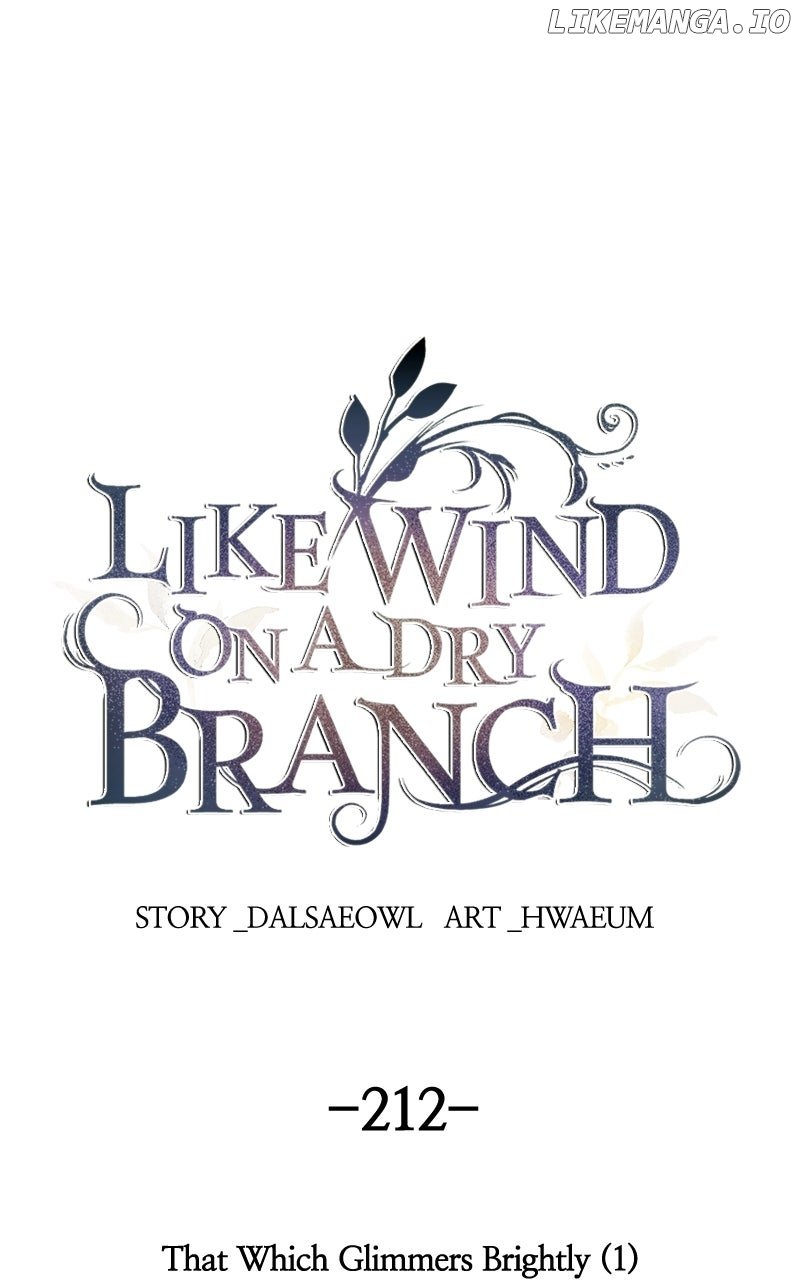 Like A Wind On A Dry Branch Chapter 212 - Page 1