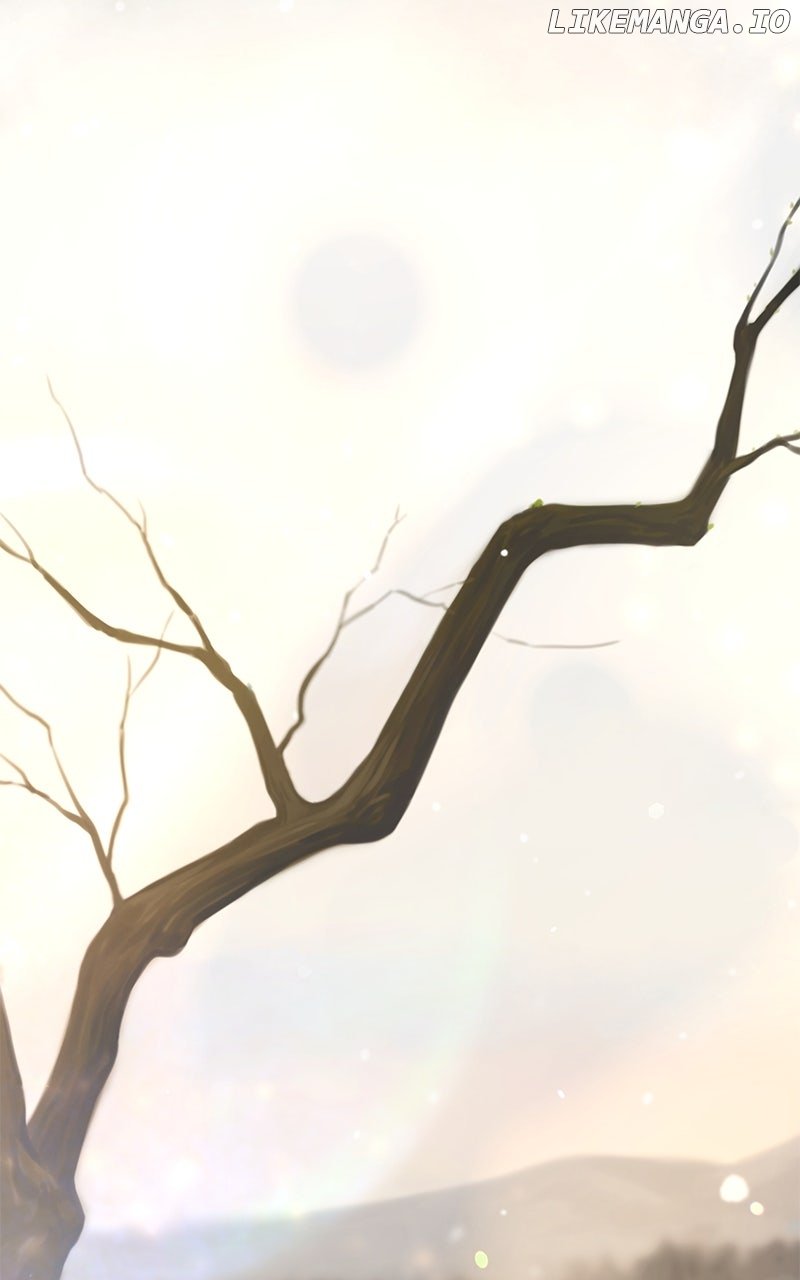 Like A Wind On A Dry Branch Chapter 212 - Page 43