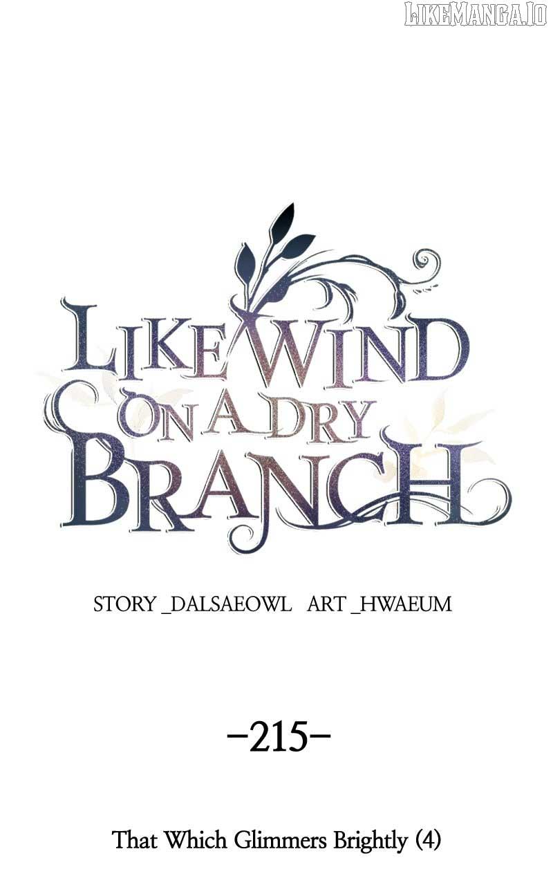 Like A Wind On A Dry Branch Chapter 215 - Page 1