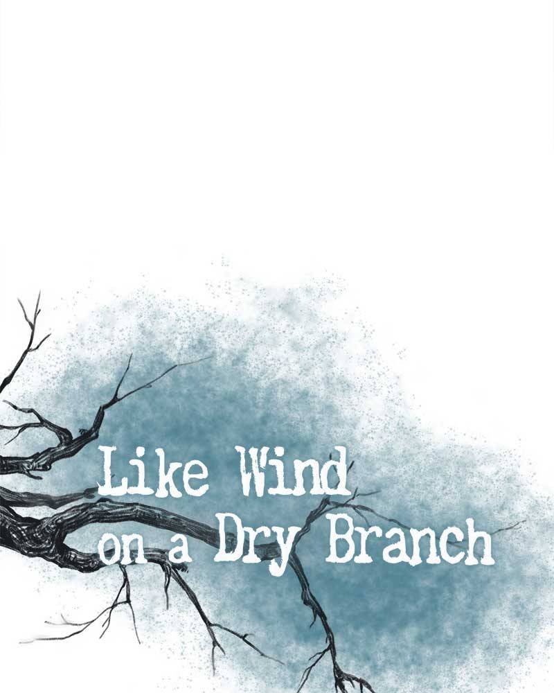 Like A Wind On A Dry Branch Chapter 28 - Page 5