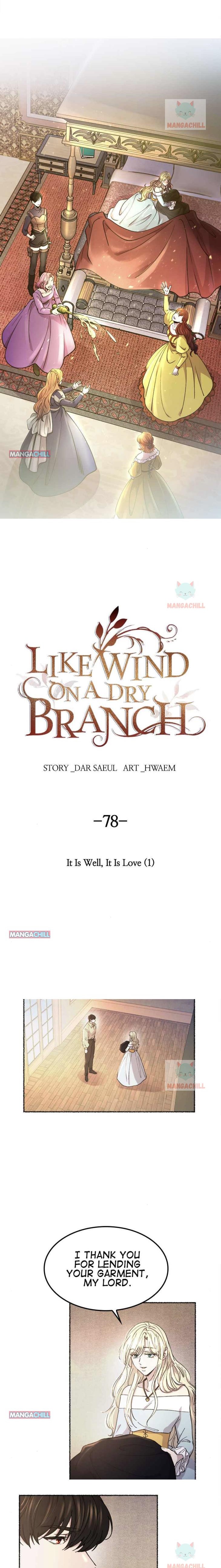 Like A Wind On A Dry Branch Chapter 78 - Page 19