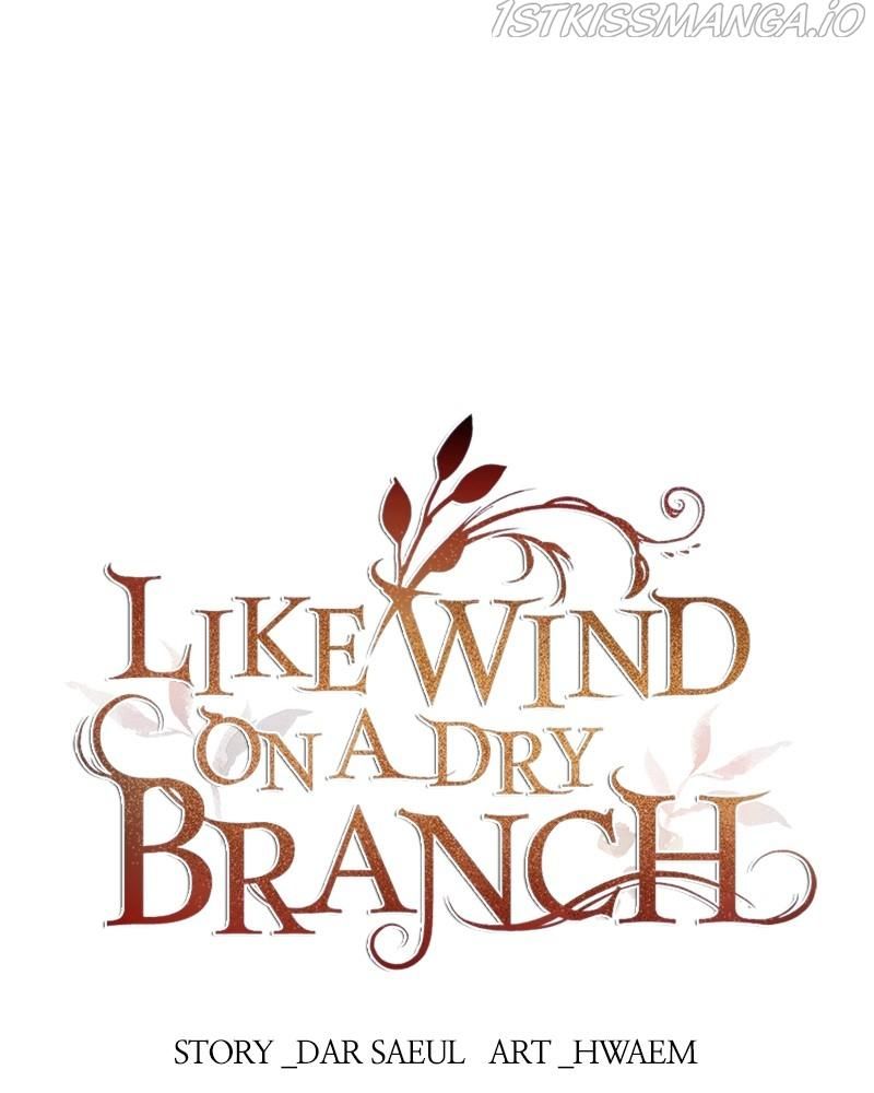 Like A Wind On A Dry Branch Chapter 88 - Page 81