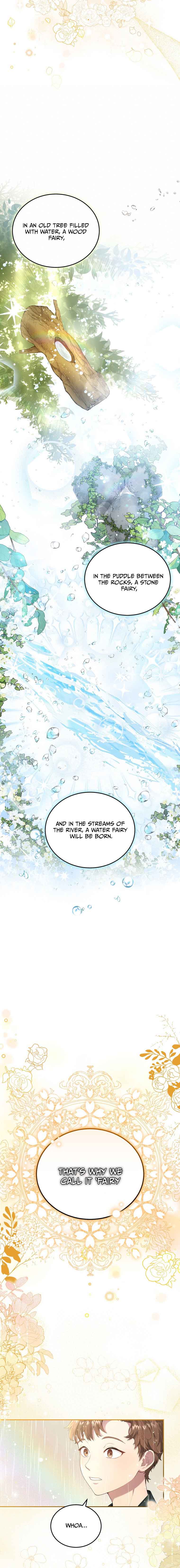 Dear Fairy, Please Contract With Me Chapter 1 - Page 3