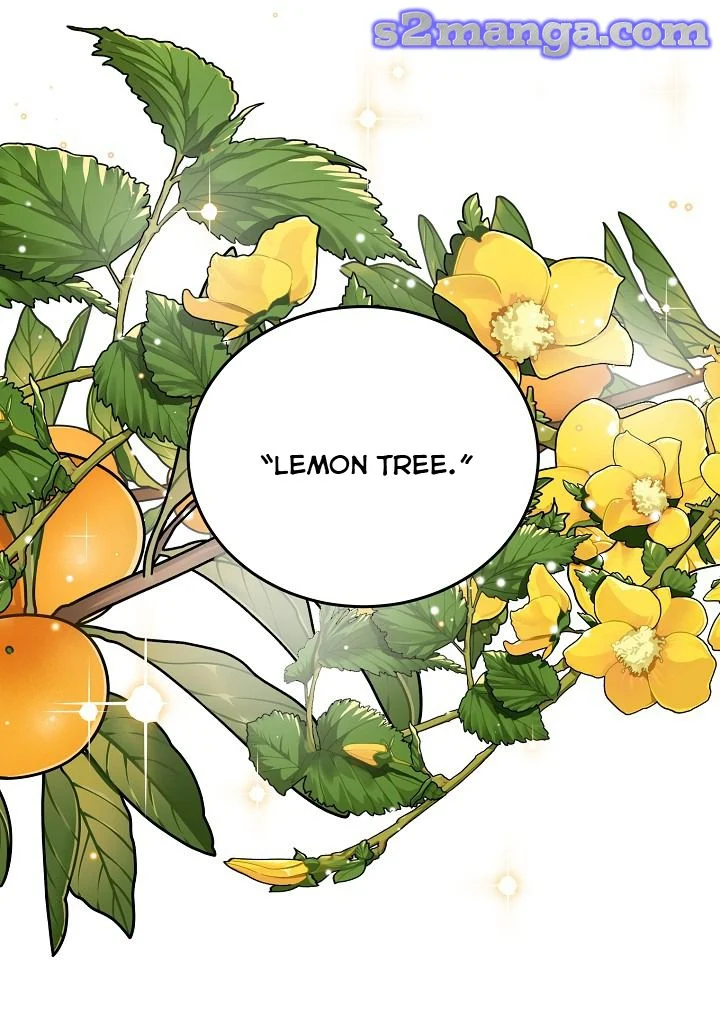 A Divorced Evil Lady Bakes Cakes Chapter 10.5 - Page 8