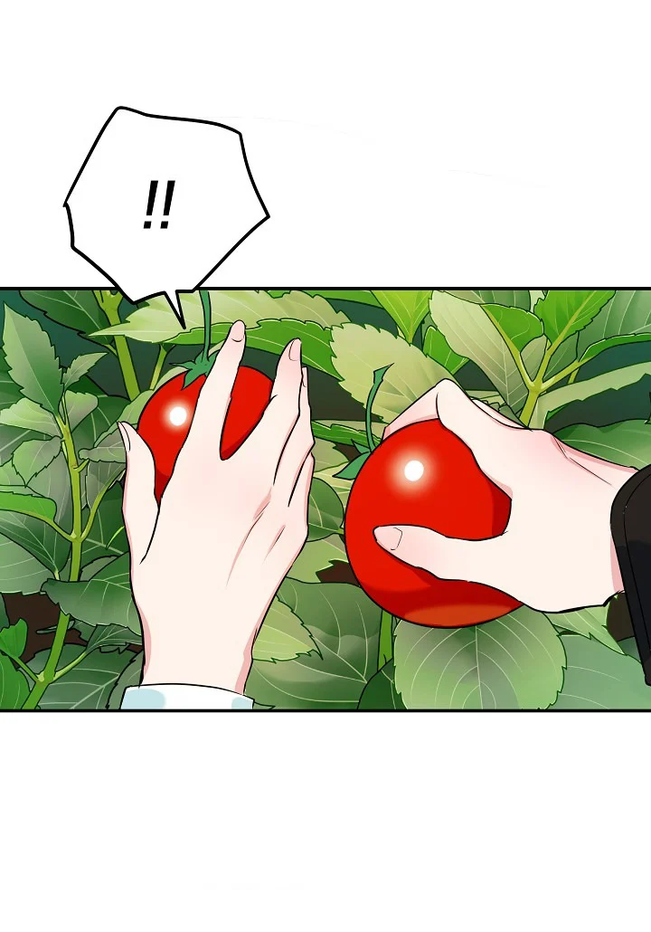 A Divorced Evil Lady Bakes Cakes Chapter 9.5 - Page 15