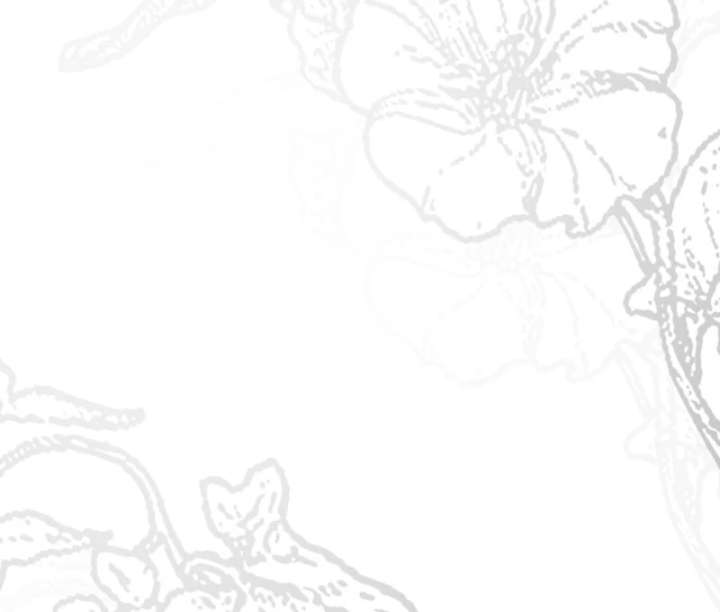 I Became the Cure for the Tyrant in the Waste Novel Chapter 29 - Page 149