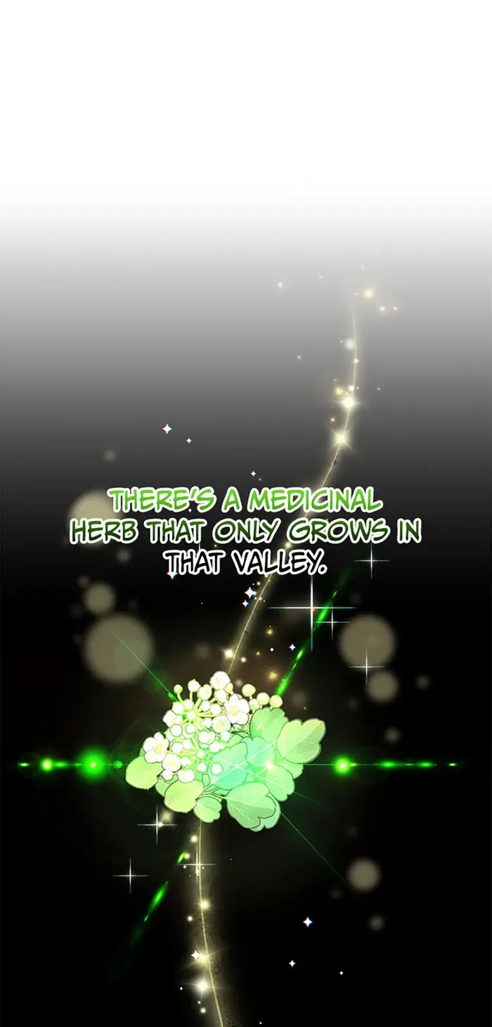 I Got Lucky and Pulled a 10th Rank Summon Chapter 55 - Page 84