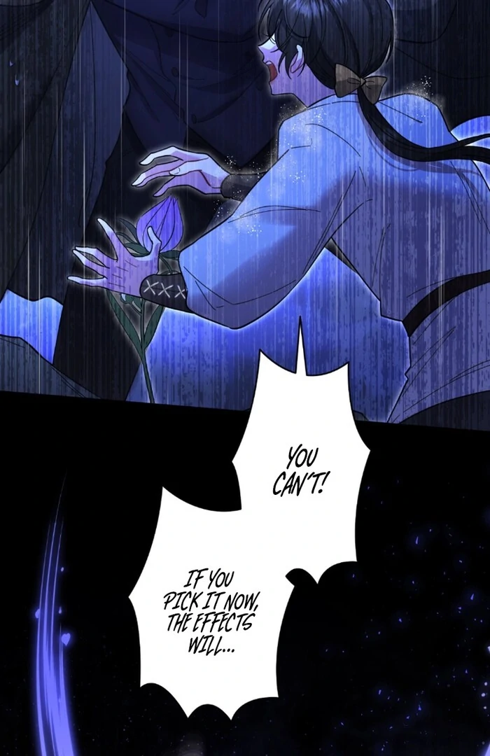 I dedicate my life to revenge Chapter 11 - Page 14