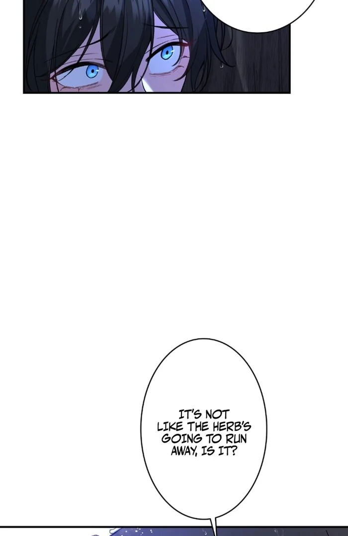 I dedicate my life to revenge Chapter 11 - Page 17