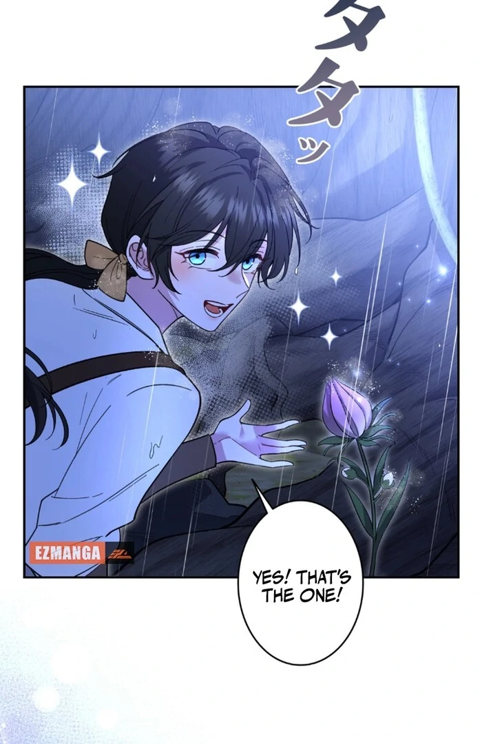 I dedicate my life to revenge Chapter 11 - Page 5