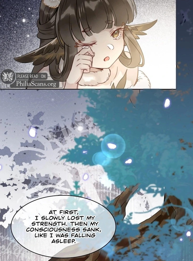 Court of Music and Dance Chapter 15 - Page 47