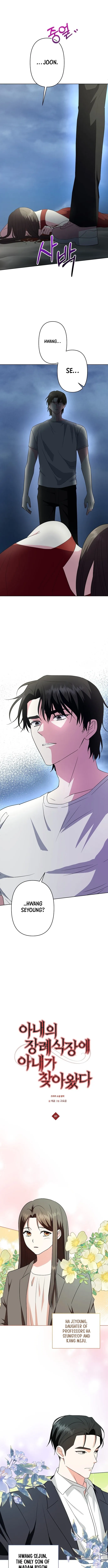 My Wife Appeared at My Wife’s Funeral Chapter 1 - Page 3