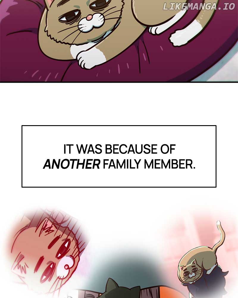 I’m the Only One Bullied by the New High School Student Chapter 27 - Page 159