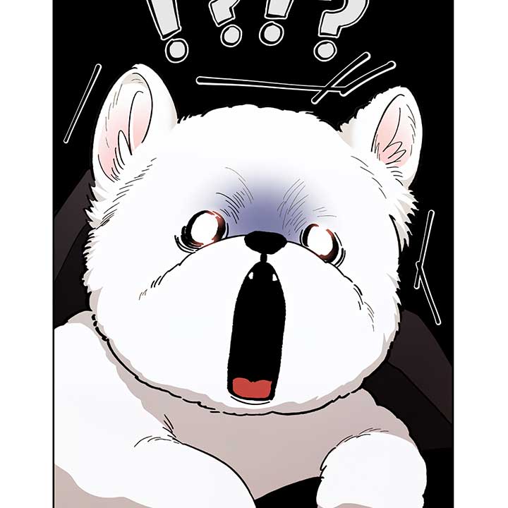 Don’t Mess With the Puppy! Chapter 0 - Page 15