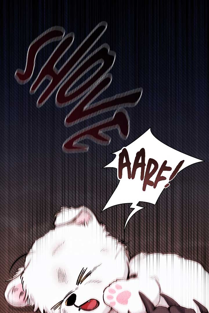 Don’t Mess With the Puppy! Chapter 1 - Page 10