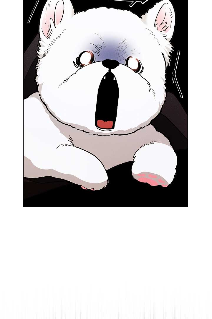 Don’t Mess With the Puppy! Chapter 1 - Page 109
