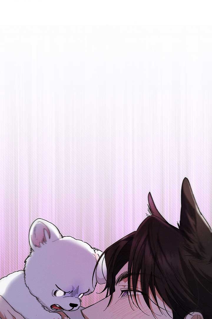 Don’t Mess With the Puppy! Chapter 1 - Page 118