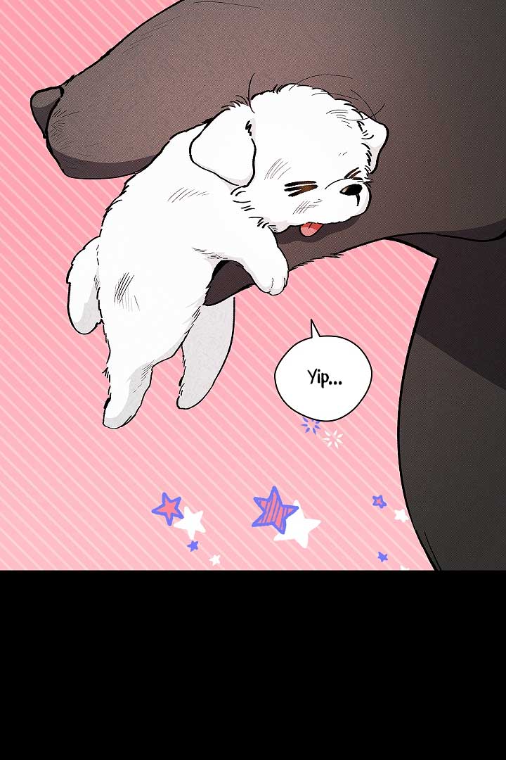 Don’t Mess With the Puppy! Chapter 1 - Page 19