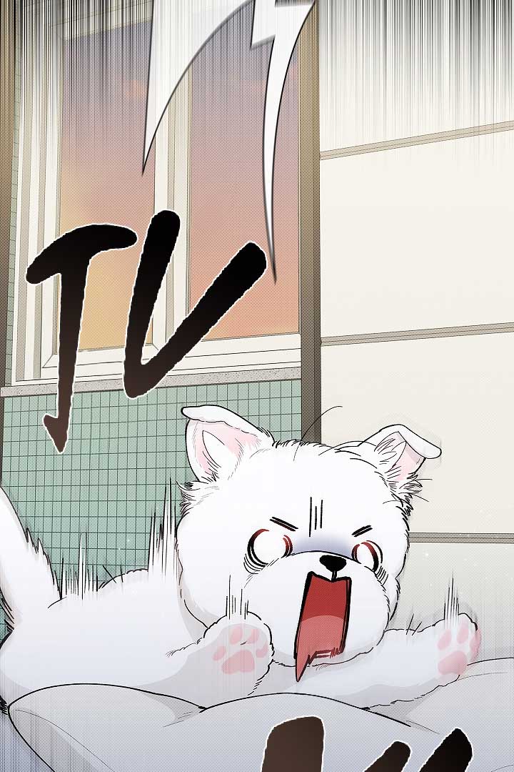 Don’t Mess With the Puppy! Chapter 1 - Page 21
