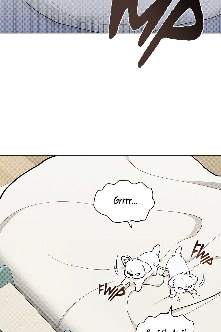 Don’t Mess With the Puppy! Chapter 1 - Page 22