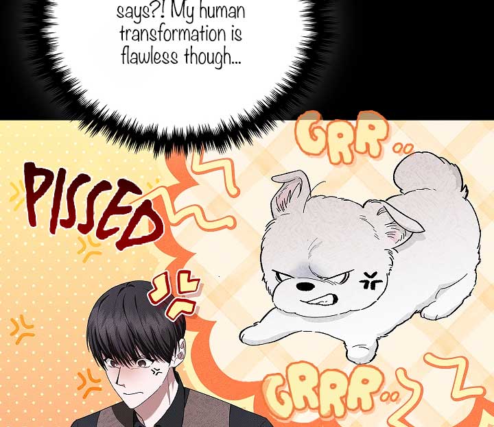 Don’t Mess With the Puppy! Chapter 1 - Page 55
