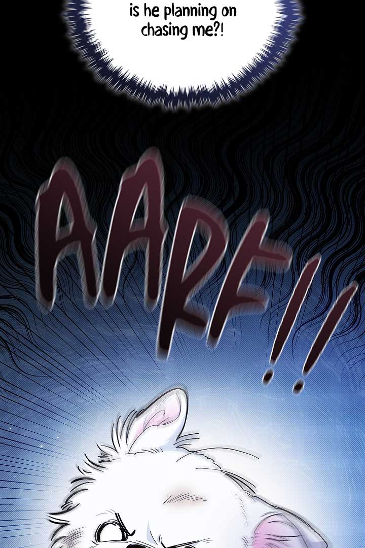 Don’t Mess With the Puppy! Chapter 1 - Page 6