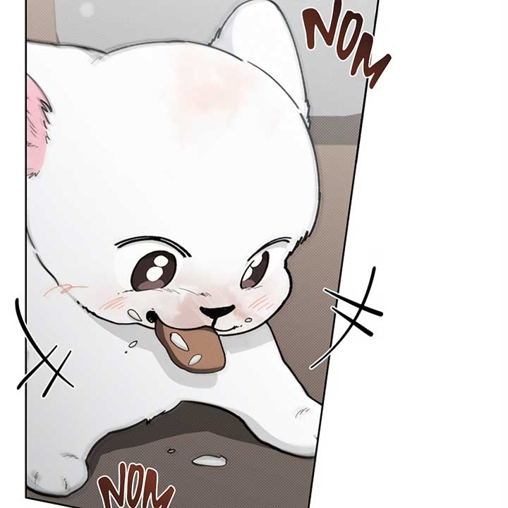 Don’t Mess With the Puppy! Chapter 12 - Page 103