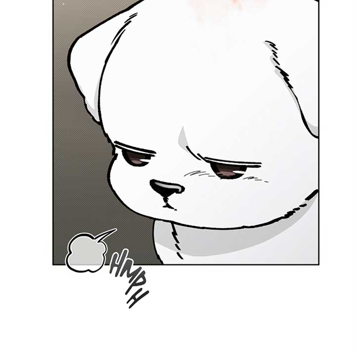 Don’t Mess With the Puppy! Chapter 12 - Page 17