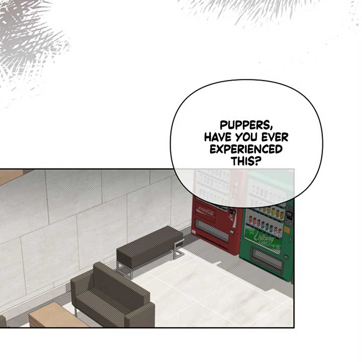 Don’t Mess With the Puppy! Chapter 12 - Page 48