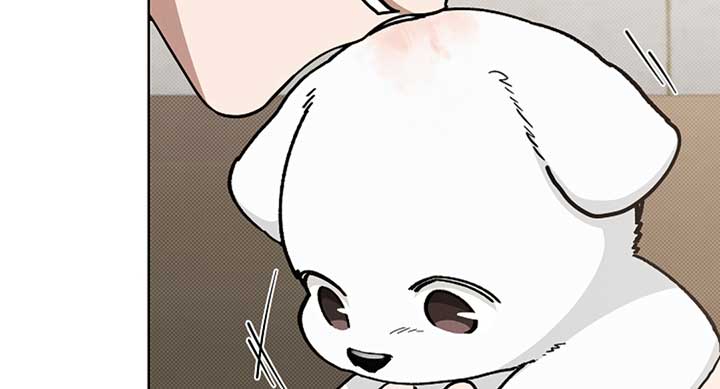 Don’t Mess With the Puppy! Chapter 12 - Page 50