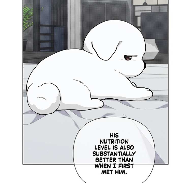Don’t Mess With the Puppy! Chapter 13 - Page 104