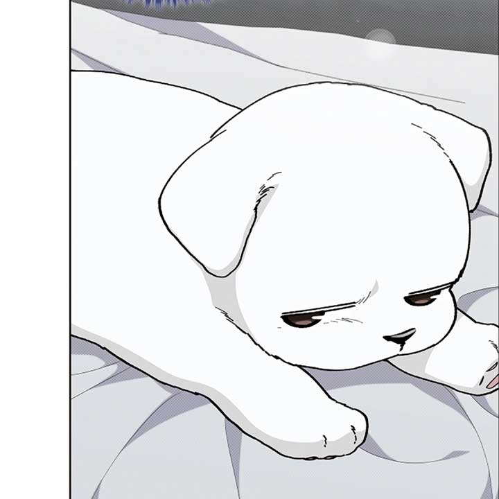 Don’t Mess With the Puppy! Chapter 13 - Page 109