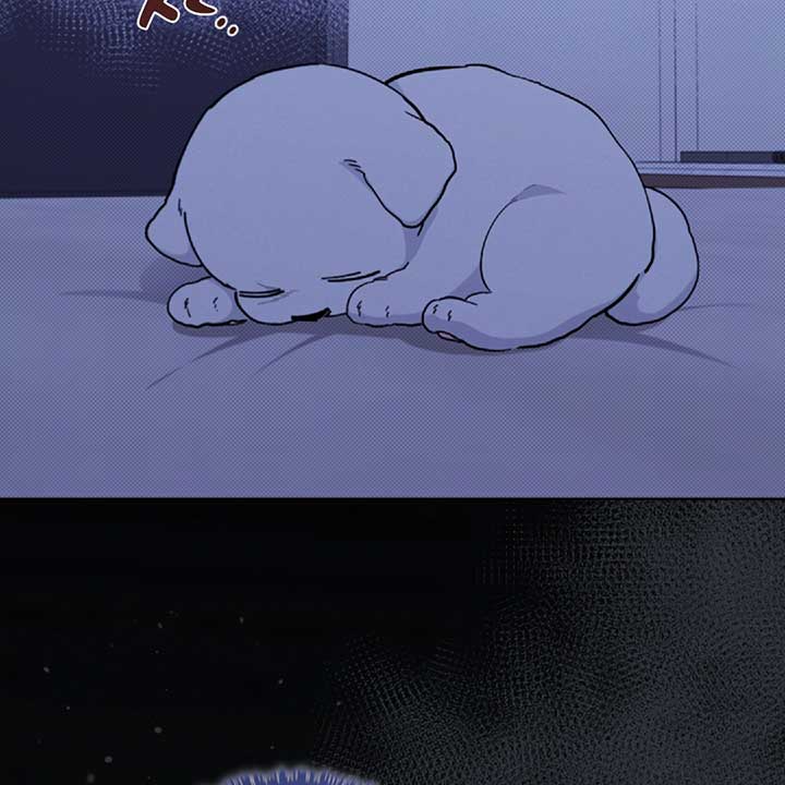 Don’t Mess With the Puppy! Chapter 13 - Page 36