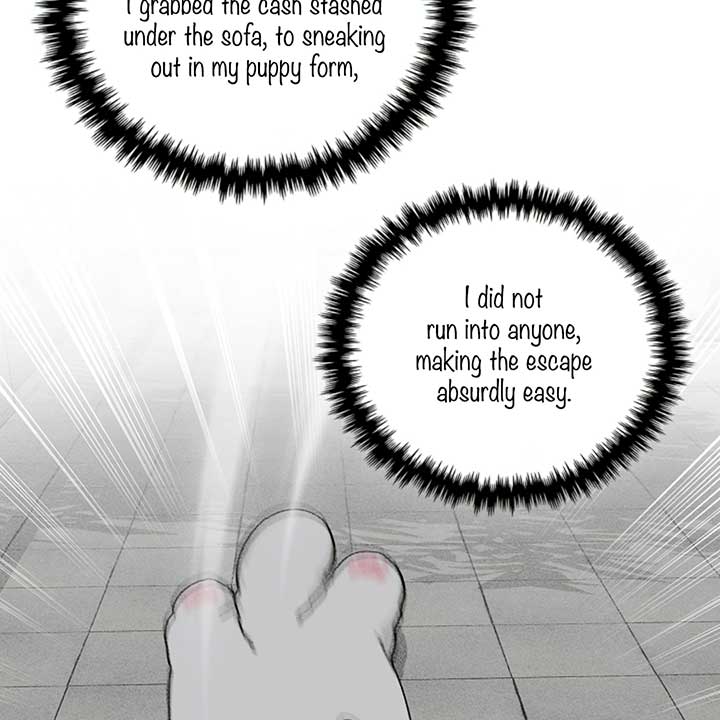 Don’t Mess With the Puppy! Chapter 14 - Page 47