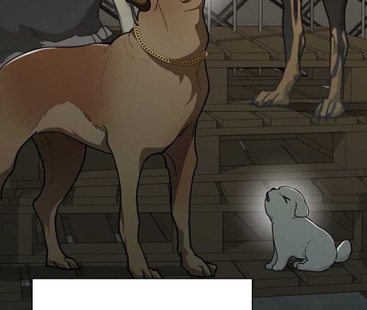 Don’t Mess With the Puppy! Chapter 16 - Page 47