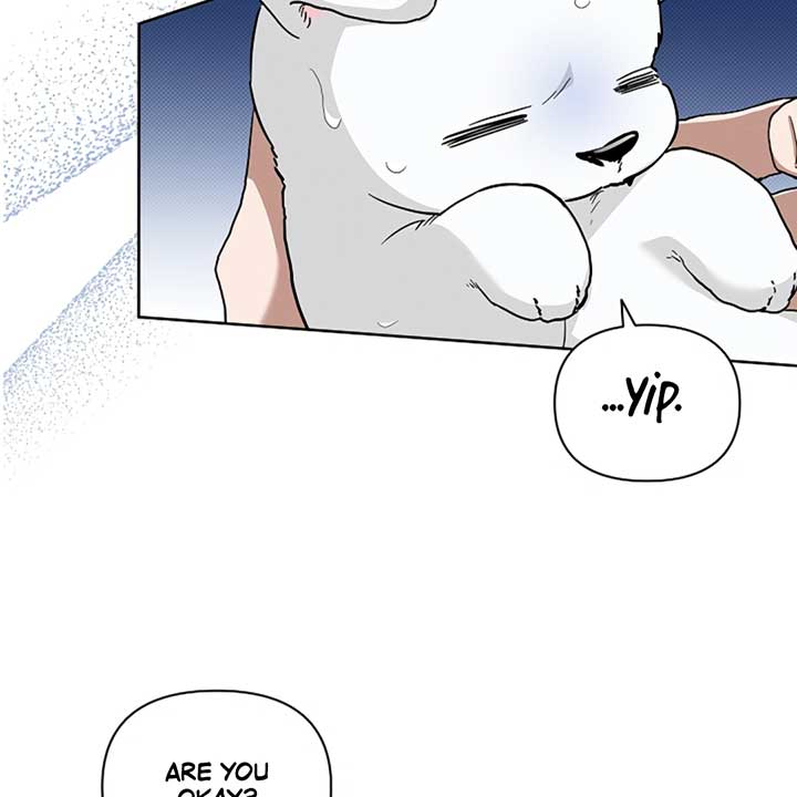 Don’t Mess With the Puppy! Chapter 17 - Page 73