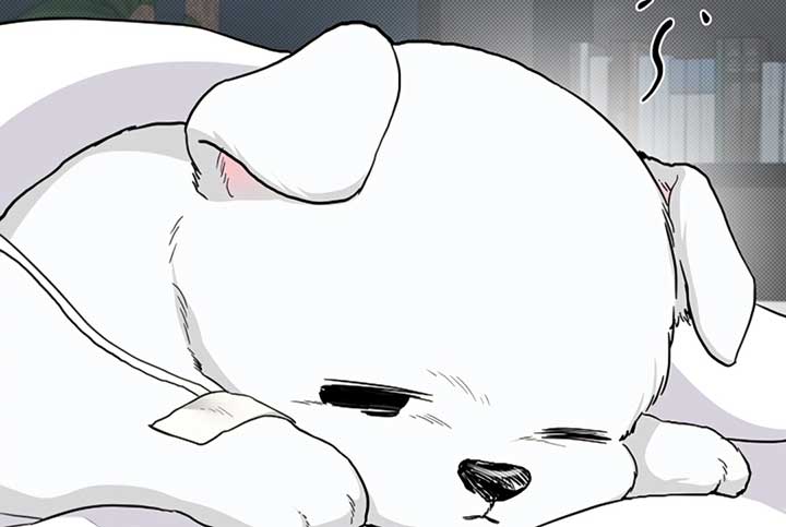 Don’t Mess With the Puppy! Chapter 17 - Page 86