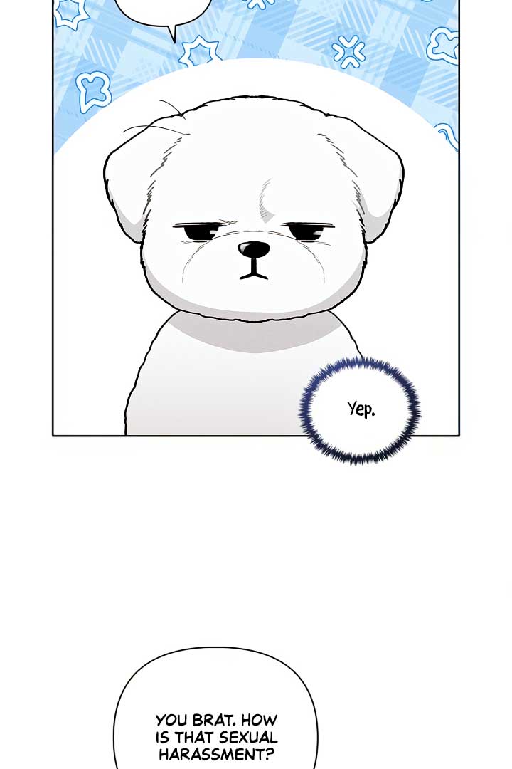 Don’t Mess With the Puppy! Chapter 2 - Page 3