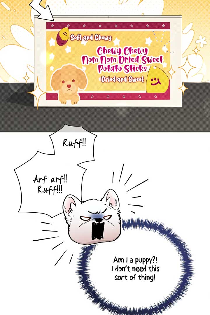 Don’t Mess With the Puppy! Chapter 2 - Page 7