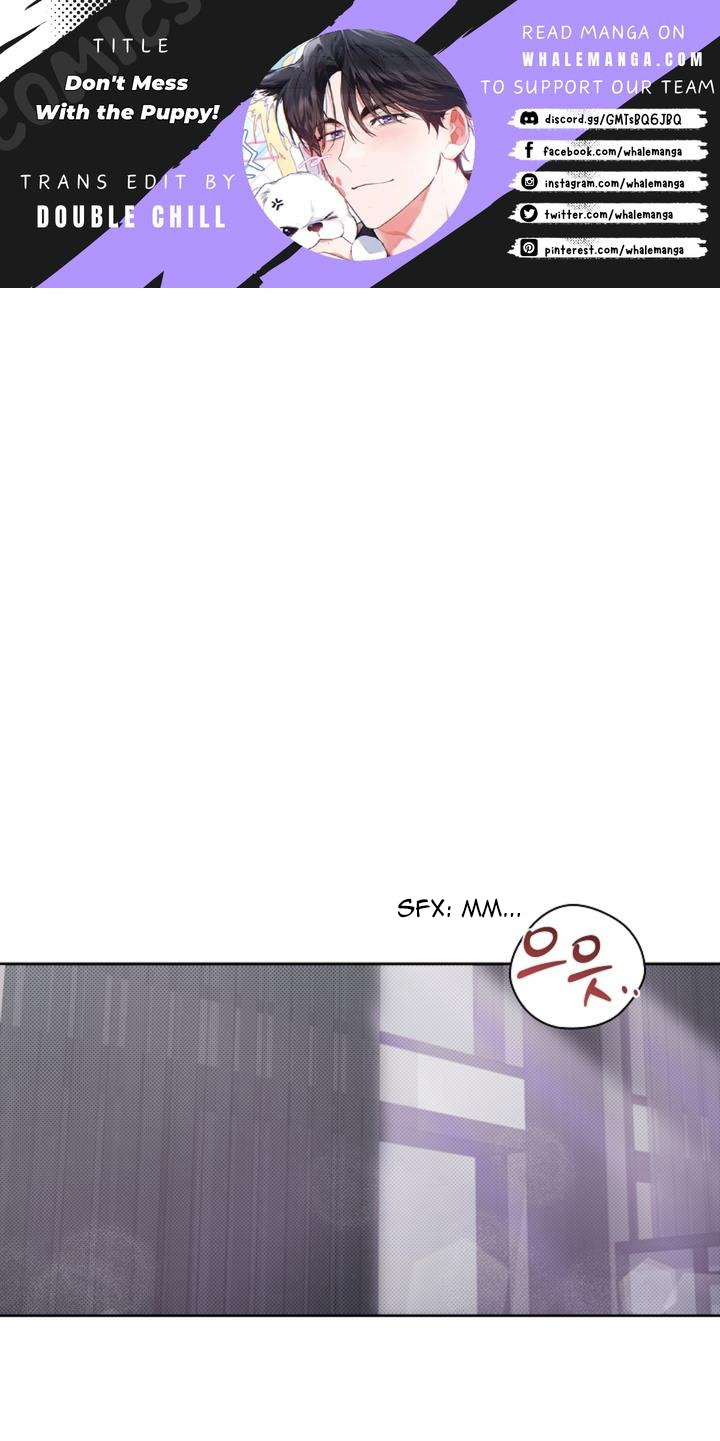 Don’t Mess With the Puppy! Chapter 26 - Page 1