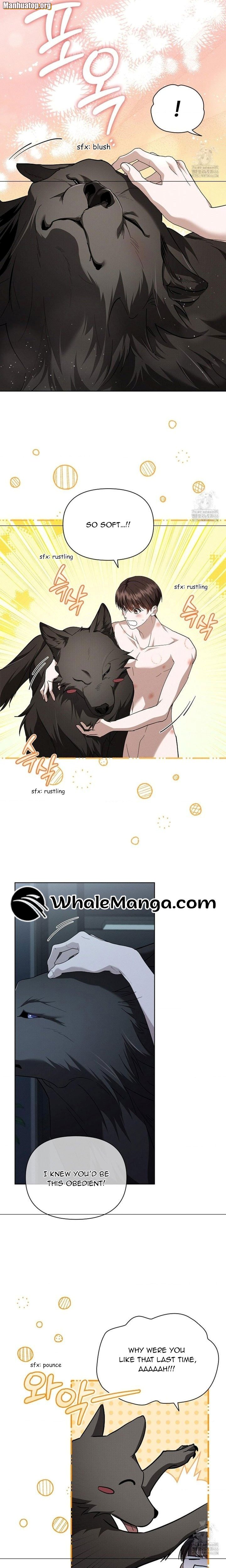 Don’t Mess With the Puppy! Chapter 27 - Page 11