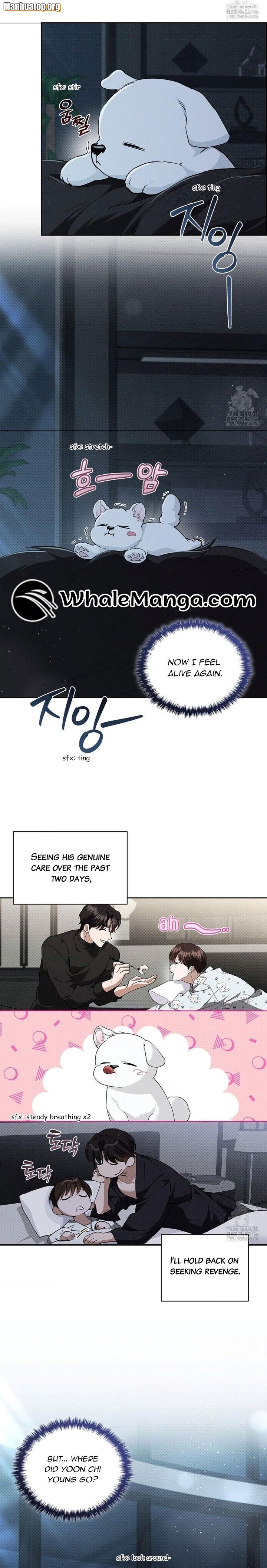 Don’t Mess With the Puppy! Chapter 27 - Page 7