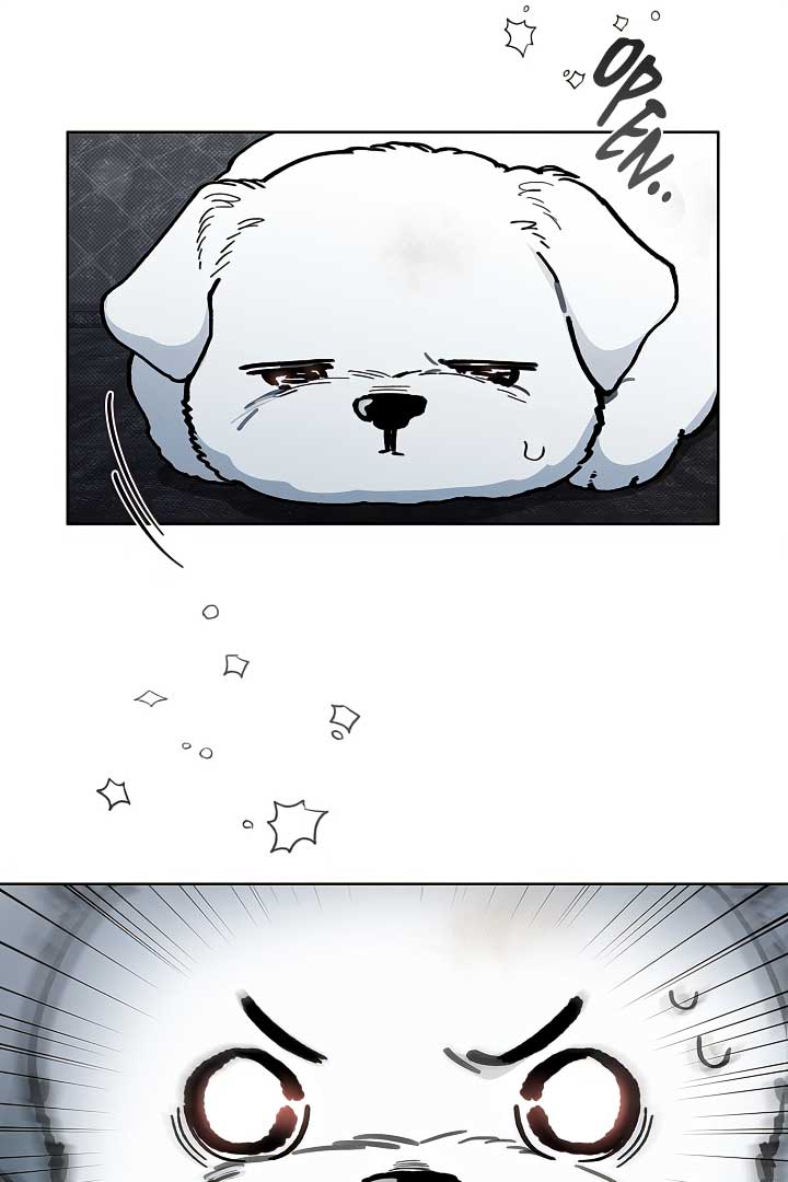 Don’t Mess With the Puppy! Chapter 3 - Page 96