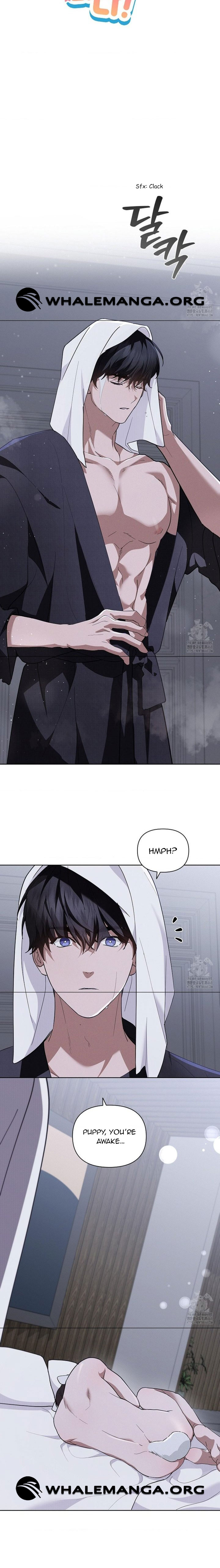 Don’t Mess With the Puppy! Chapter 31 - Page 4