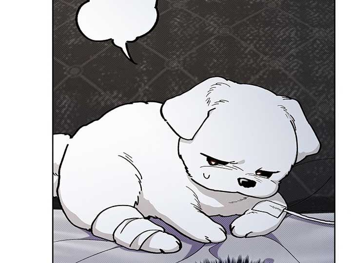 Don’t Mess With the Puppy! Chapter 4 - Page 22