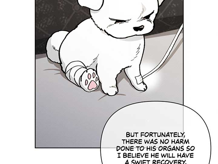 Don’t Mess With the Puppy! Chapter 4 - Page 5