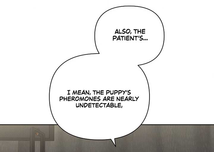 Don’t Mess With the Puppy! Chapter 4 - Page 9