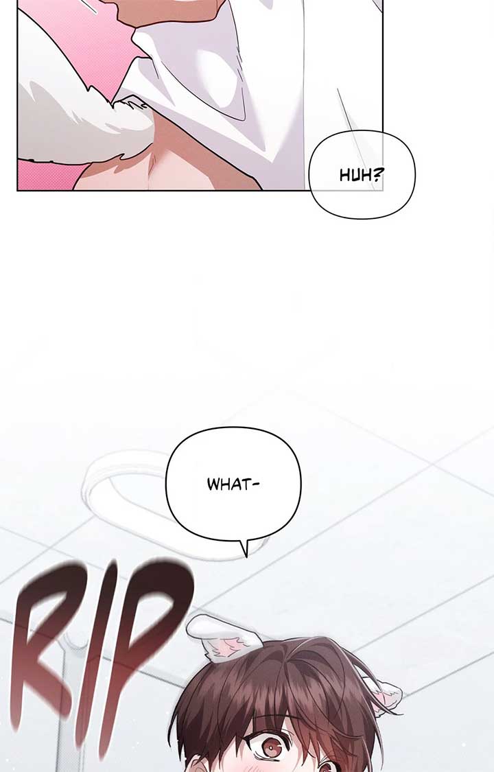 Don’t Mess With the Puppy! Chapter 41 - Page 12